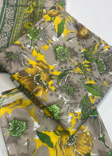 Dhanak Daman Chikankari Printed Embroidered 3Pc