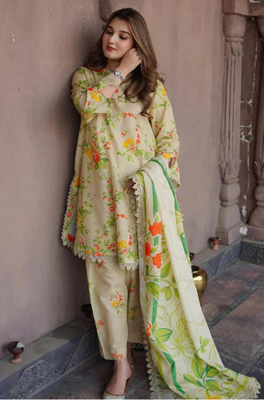 Aneela's Printed Embroidered Lawn 3PC Unstitched Memon Clothes